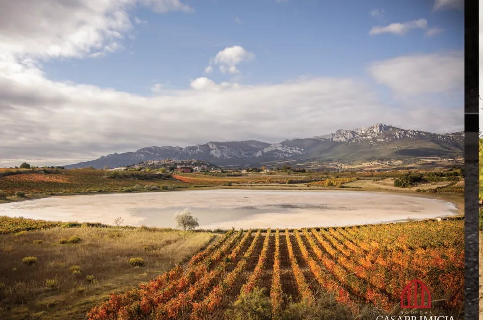 Paisaje de Rioja Alavesa en otoño
